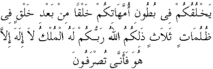 d07342.gif (2451 bytes)