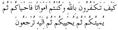 e11065.gif (2596 bytes)
