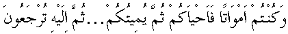 e11068.gif (1966 bytes)