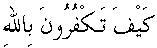 e11084.gif (1291 bytes)