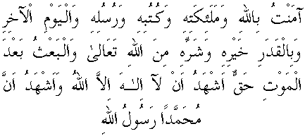 g01018.gif (4002 bytes)