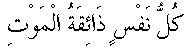 i01088.gif (1365 bytes)