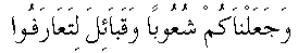 n004.gif (789 bytes)