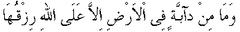 n006.gif (927 bytes)