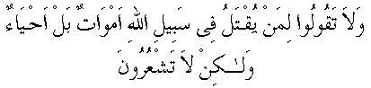 n008.gif (1560 bytes)