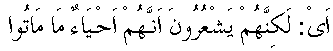 n009.gif (929 bytes)
