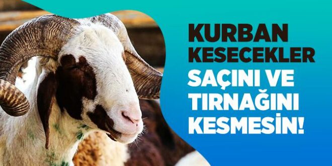 Kurban Kestirmek Isteyen Kisinin De Sac Ve Tirnaklarindan Aldirmasi Mekruh Olur Mu